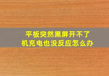 平板突然黑屏开不了机充电也没反应怎么办