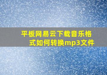 平板网易云下载音乐格式如何转换mp3文件