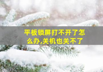 平板锁屏打不开了怎么办,关机也关不了