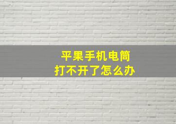 平果手机电筒打不开了怎么办