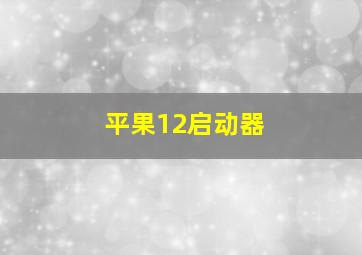 平果12启动器