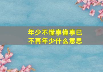 年少不懂事懂事已不再年少什么意思