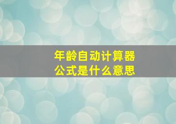 年龄自动计算器公式是什么意思