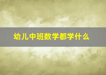 幼儿中班数学都学什么