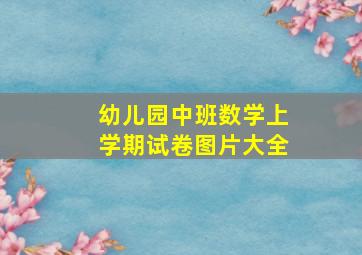 幼儿园中班数学上学期试卷图片大全