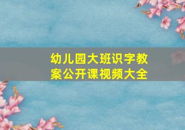 幼儿园大班识字教案公开课视频大全