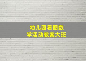 幼儿园看图数学活动教案大班