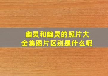 幽灵和幽灵的照片大全集图片区别是什么呢