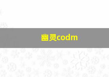 幽灵codm