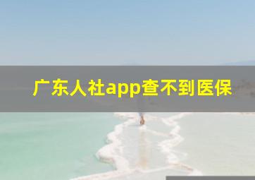 广东人社app查不到医保