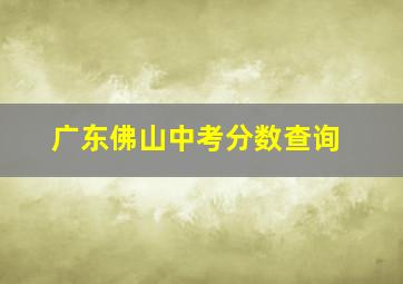 广东佛山中考分数查询