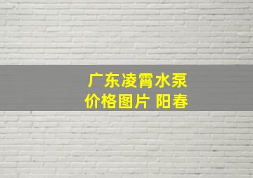 广东凌霄水泵价格图片 阳春