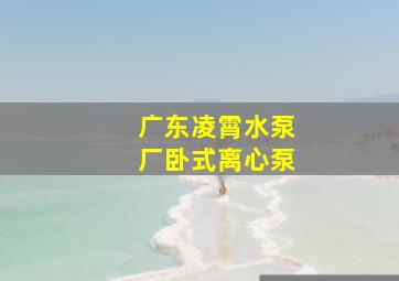 广东凌霄水泵厂卧式离心泵