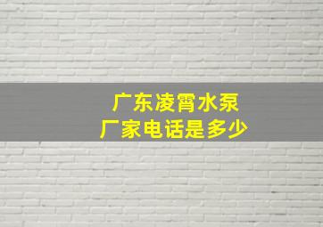 广东凌霄水泵厂家电话是多少