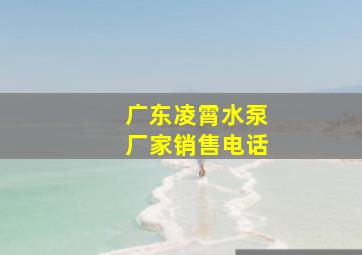 广东凌霄水泵厂家销售电话