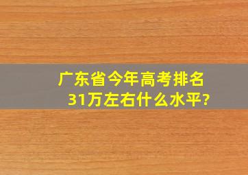 广东省今年高考排名31万左右什么水平?