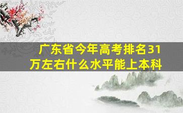 广东省今年高考排名31万左右什么水平能上本科