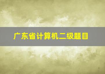 广东省计算机二级题目