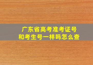 广东省高考准考证号和考生号一样吗怎么查