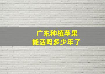 广东种植苹果能活吗多少年了