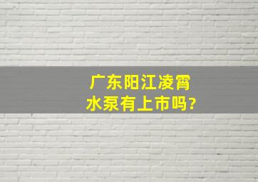 广东阳江凌霄水泵有上市吗?