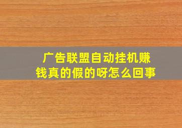 广告联盟自动挂机赚钱真的假的呀怎么回事