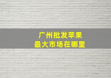 广州批发苹果最大市场在哪里