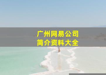 广州网易公司简介资料大全