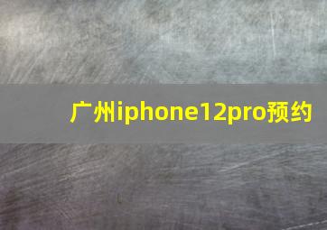 广州iphone12pro预约