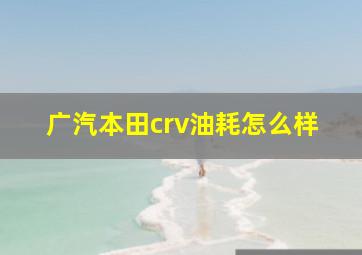 广汽本田crv油耗怎么样