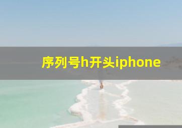 序列号h开头iphone