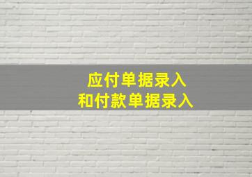 应付单据录入和付款单据录入