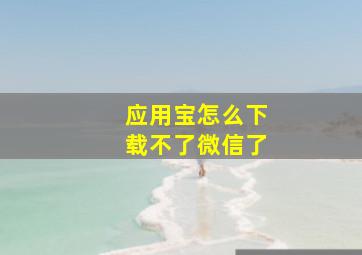 应用宝怎么下载不了微信了