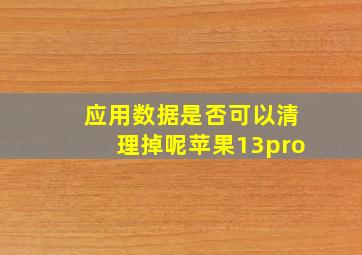 应用数据是否可以清理掉呢苹果13pro