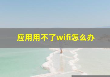 应用用不了wifi怎么办