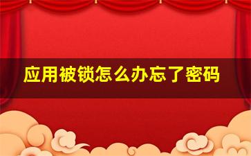 应用被锁怎么办忘了密码