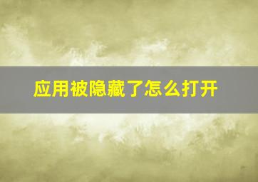 应用被隐藏了怎么打开