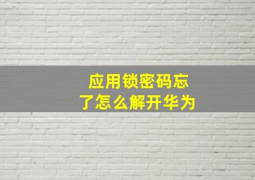 应用锁密码忘了怎么解开华为