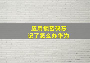 应用锁密码忘记了怎么办华为