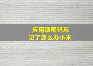 应用锁密码忘记了怎么办小米