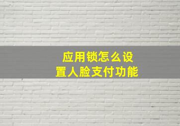 应用锁怎么设置人脸支付功能