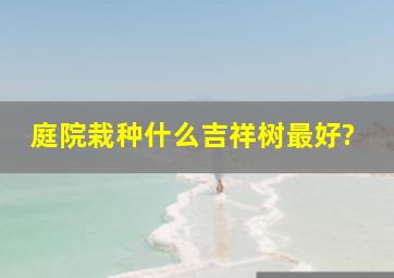 庭院栽种什么吉祥树最好?