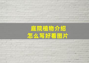 庭院植物介绍怎么写好看图片