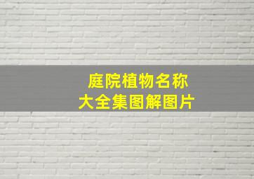 庭院植物名称大全集图解图片