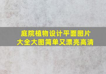 庭院植物设计平面图片大全大图简单又漂亮高清