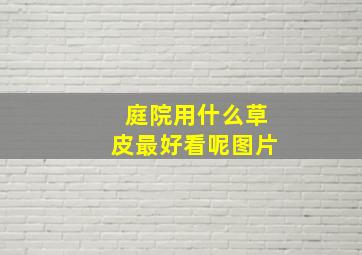 庭院用什么草皮最好看呢图片