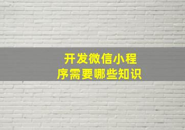 开发微信小程序需要哪些知识