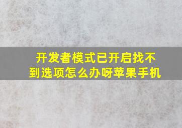 开发者模式已开启找不到选项怎么办呀苹果手机