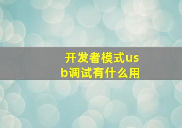 开发者模式usb调试有什么用