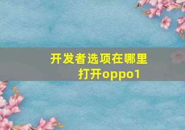 开发者选项在哪里打开oppo1+